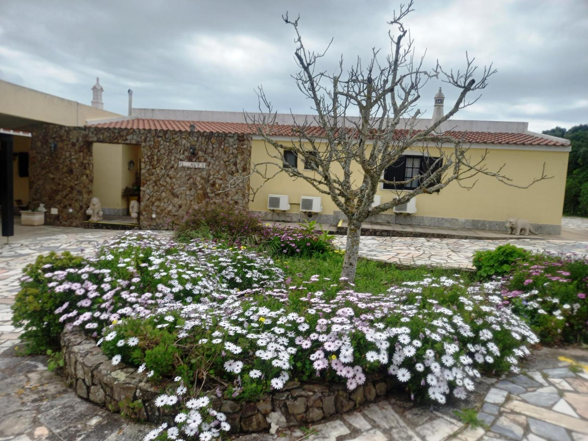 Quinta Das Aves - Apartamento T2 Com Piscina Comum Odiáxere Exterior foto